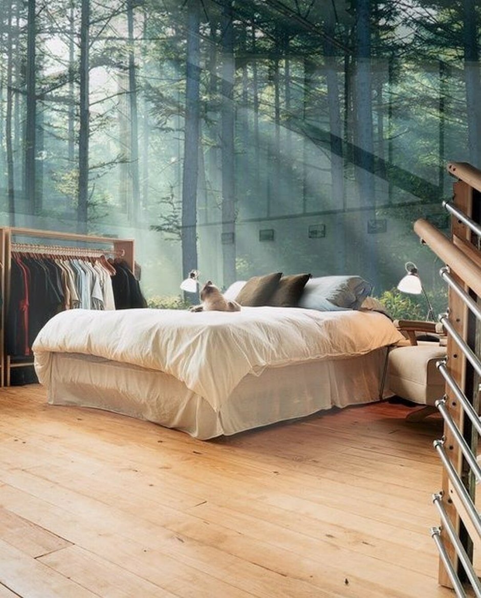 Glass bedroom in forest