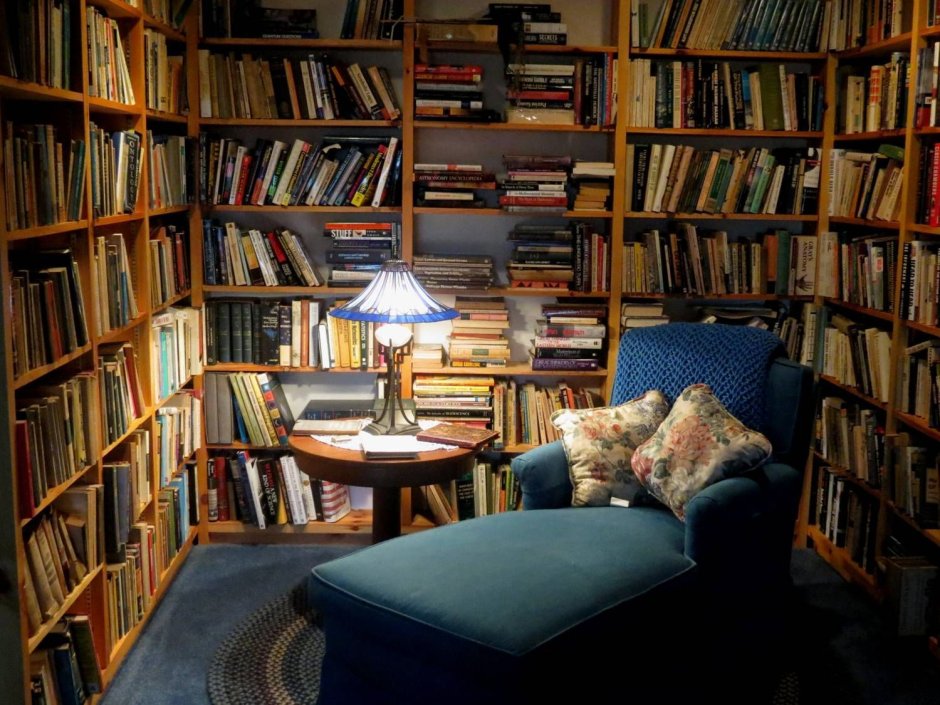 Cozy bedroom with books