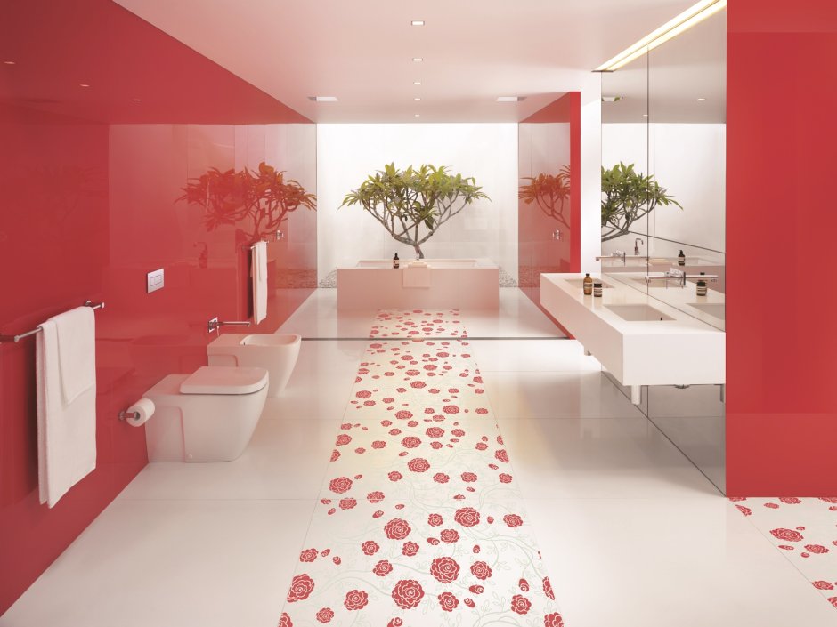 Red colour bathroom