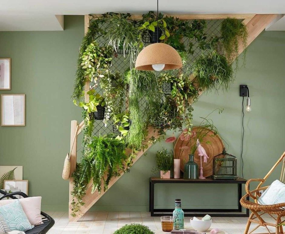 House decoration with plants