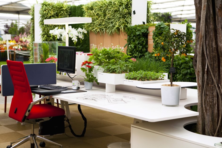 Office with plants background
