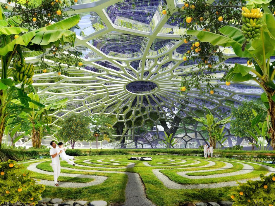 Landscape of the future garden