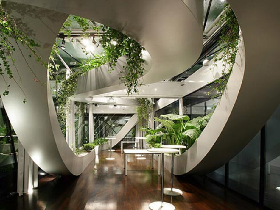 Organic modern architecture