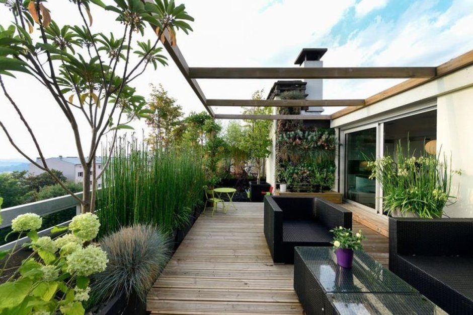 Terrace garden flat