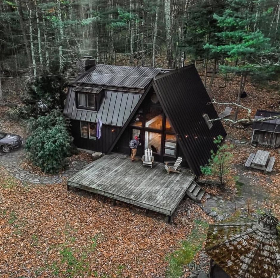 Survival cabin in the woods