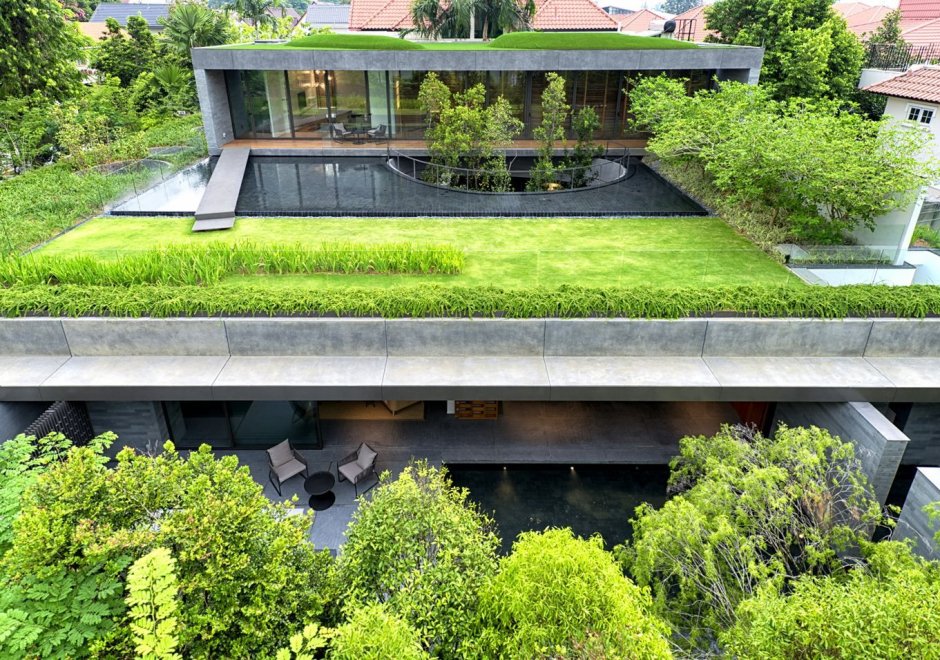 Section of green roof