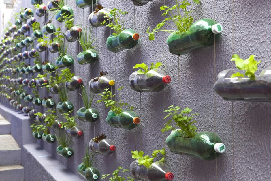 Recycling ideas plastic bottles
