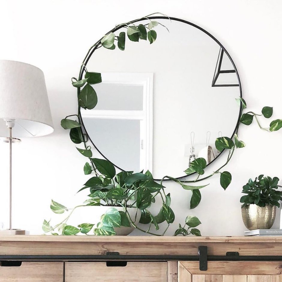 Mirror and plant wall