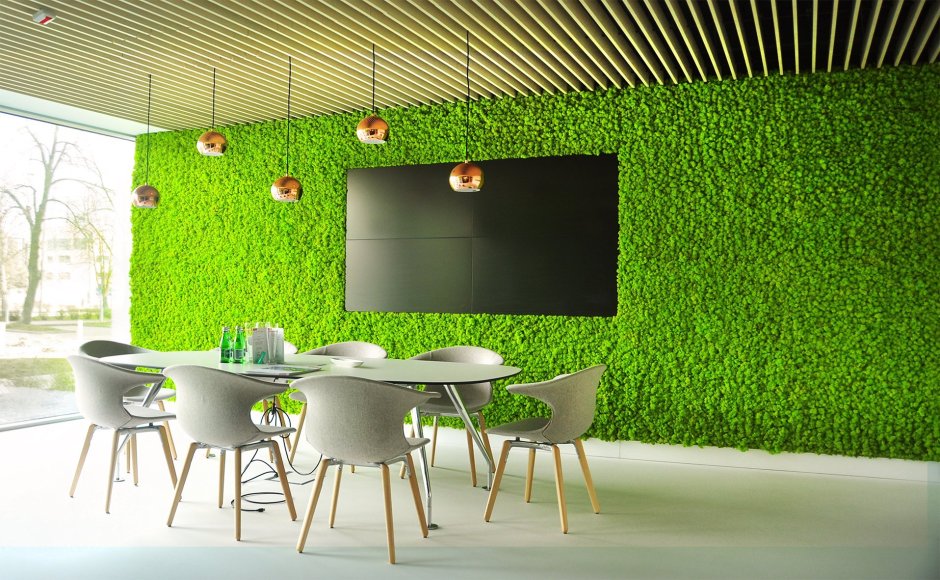 Grass wall with tv