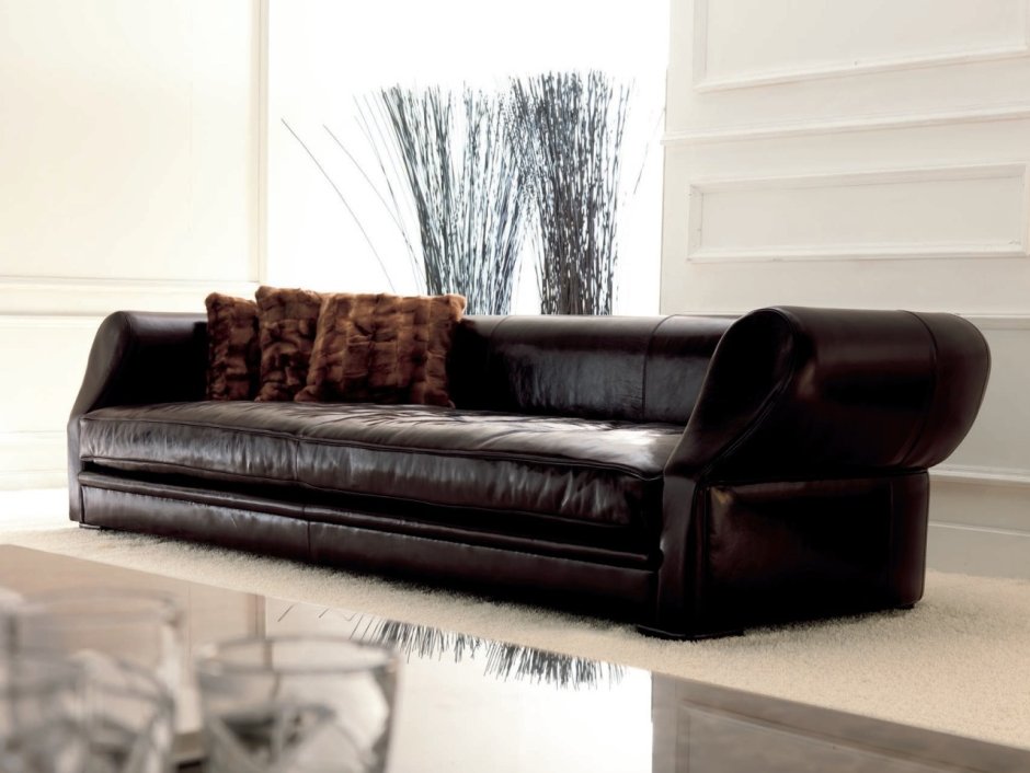 Expensive leather sofa