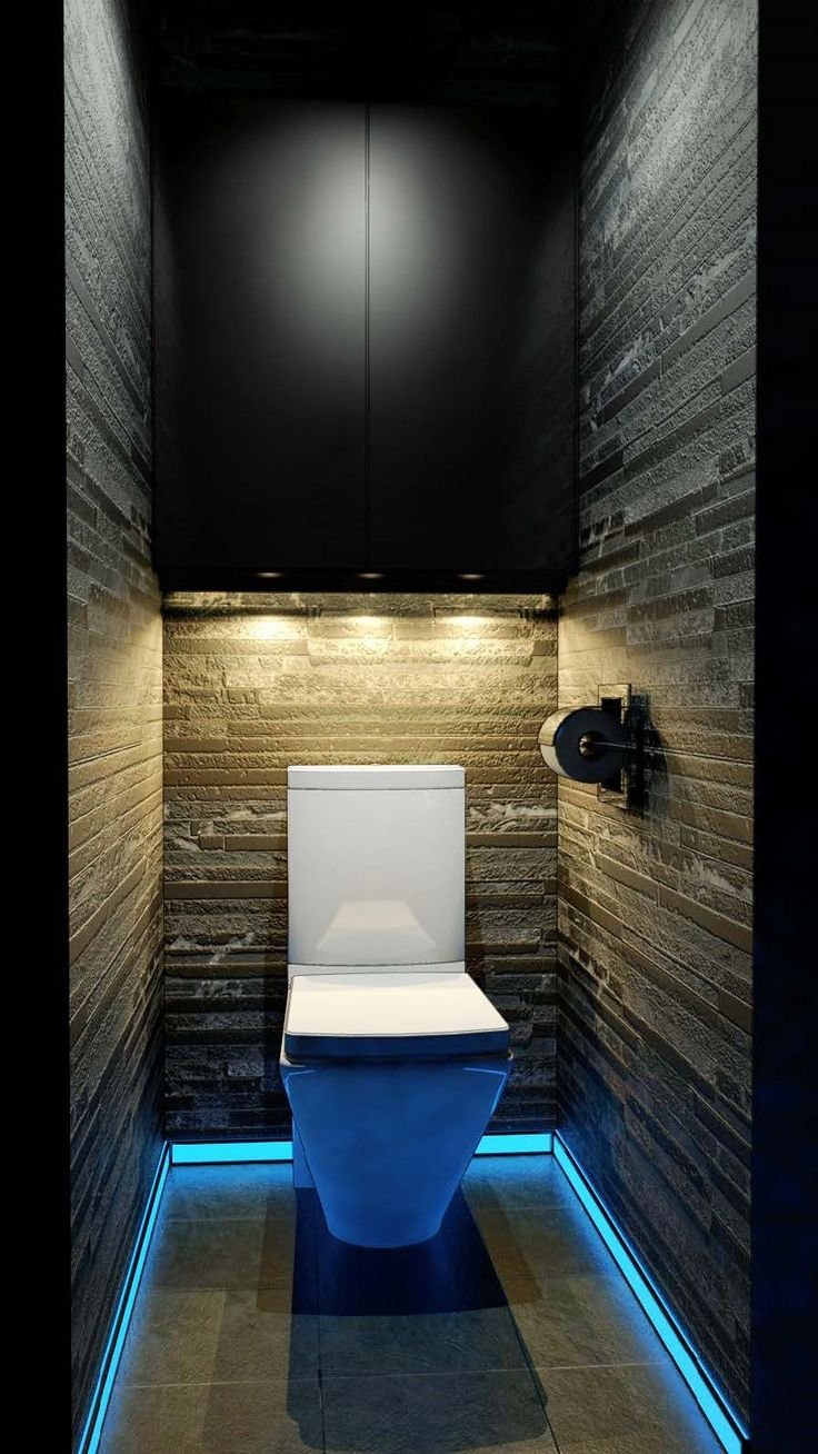 An unusual toilet interior