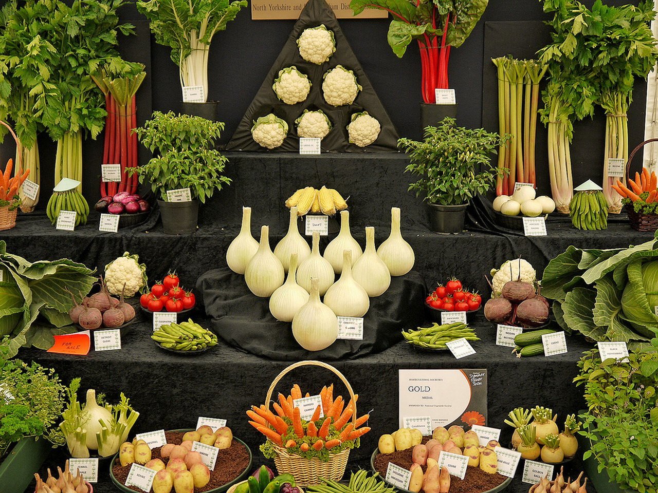 Выставки овощей. Композиция из овощей. Выкладка овощей. Овощная витрина. Декор магазина овощи фрукты.