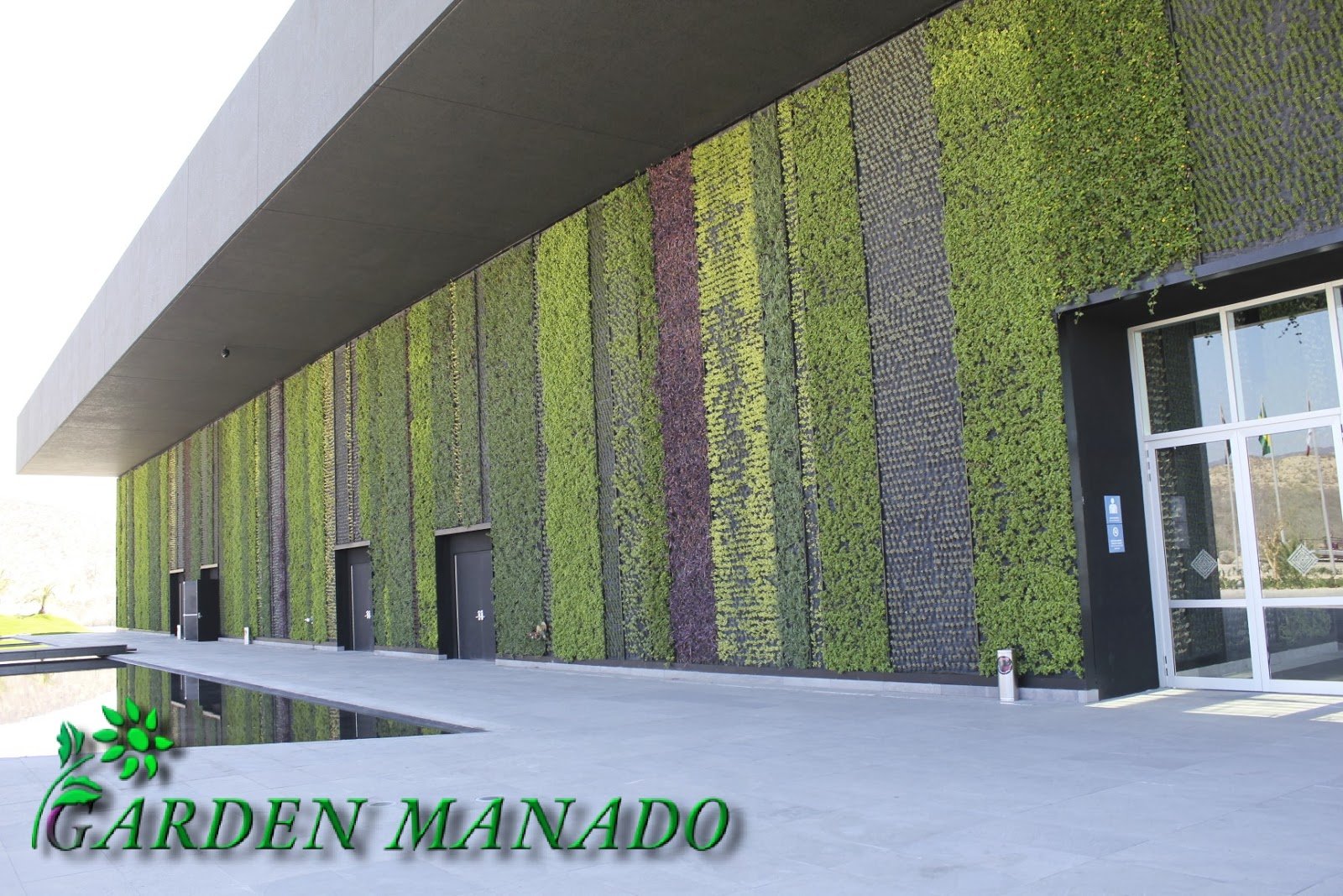 Бетонно зеленый. Зеленые фасады зданий. Вертикальное Озеленение фасадов. Озеленение стен зданий. Зелень на фасаде.
