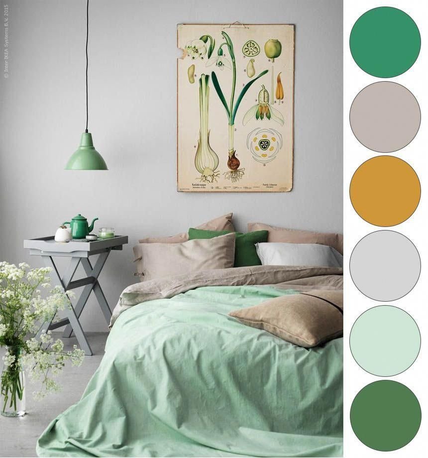 mint green  Color Palette Ideas