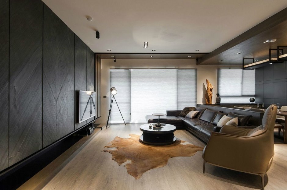 Male style apartment