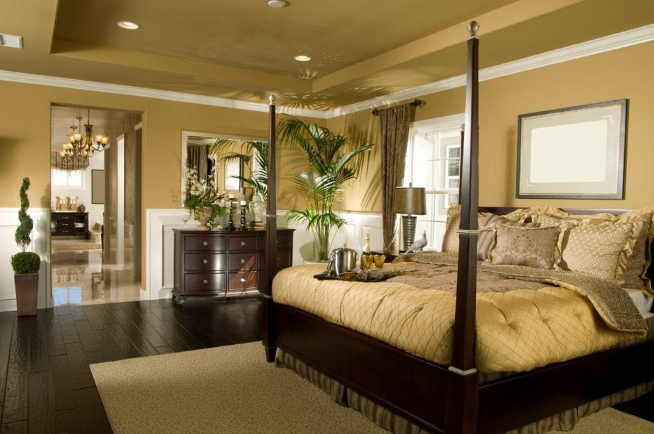 Beautiful rich room bedroom