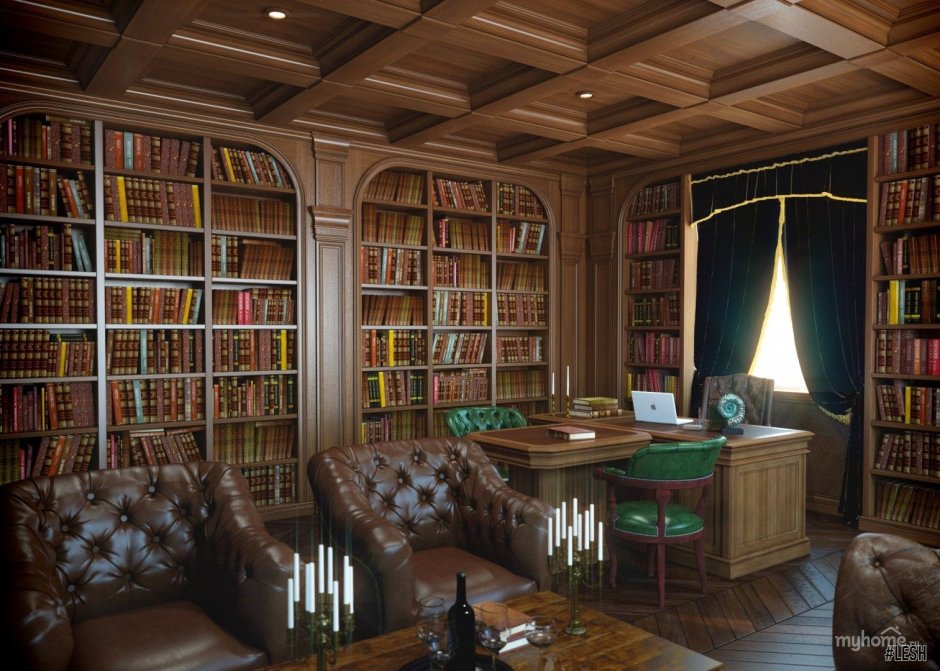 Library of Baron Kruppa Interior