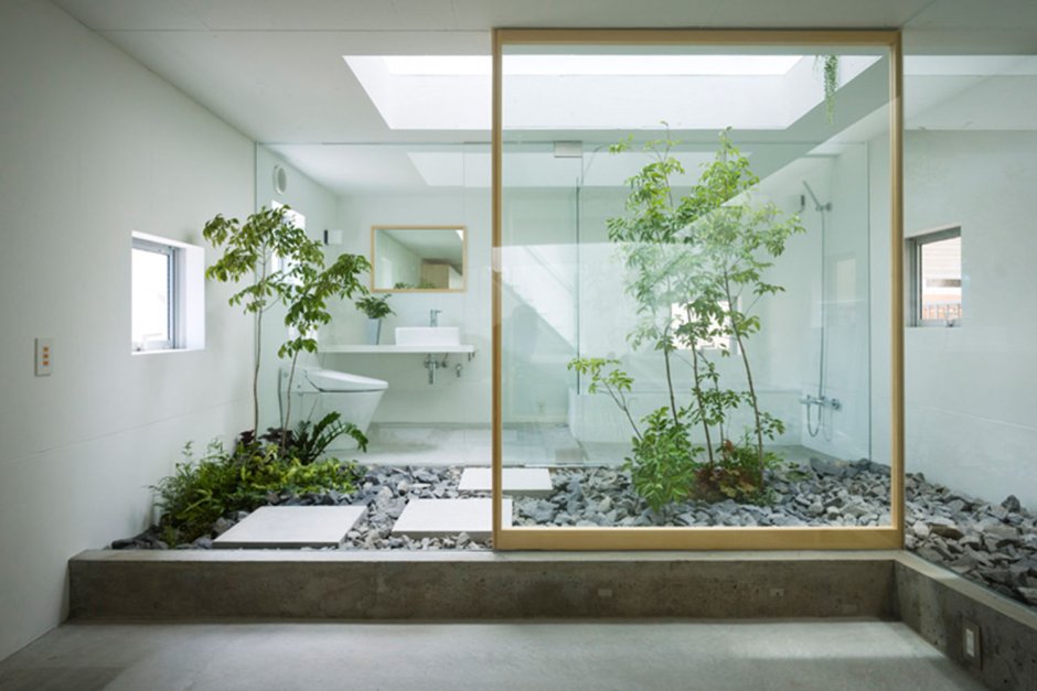 Plants behind glass in the interior
