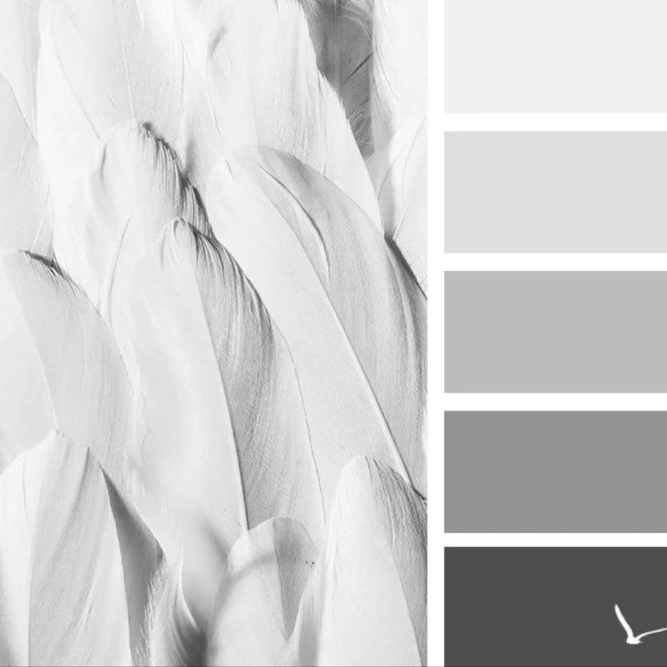 Gray palette
