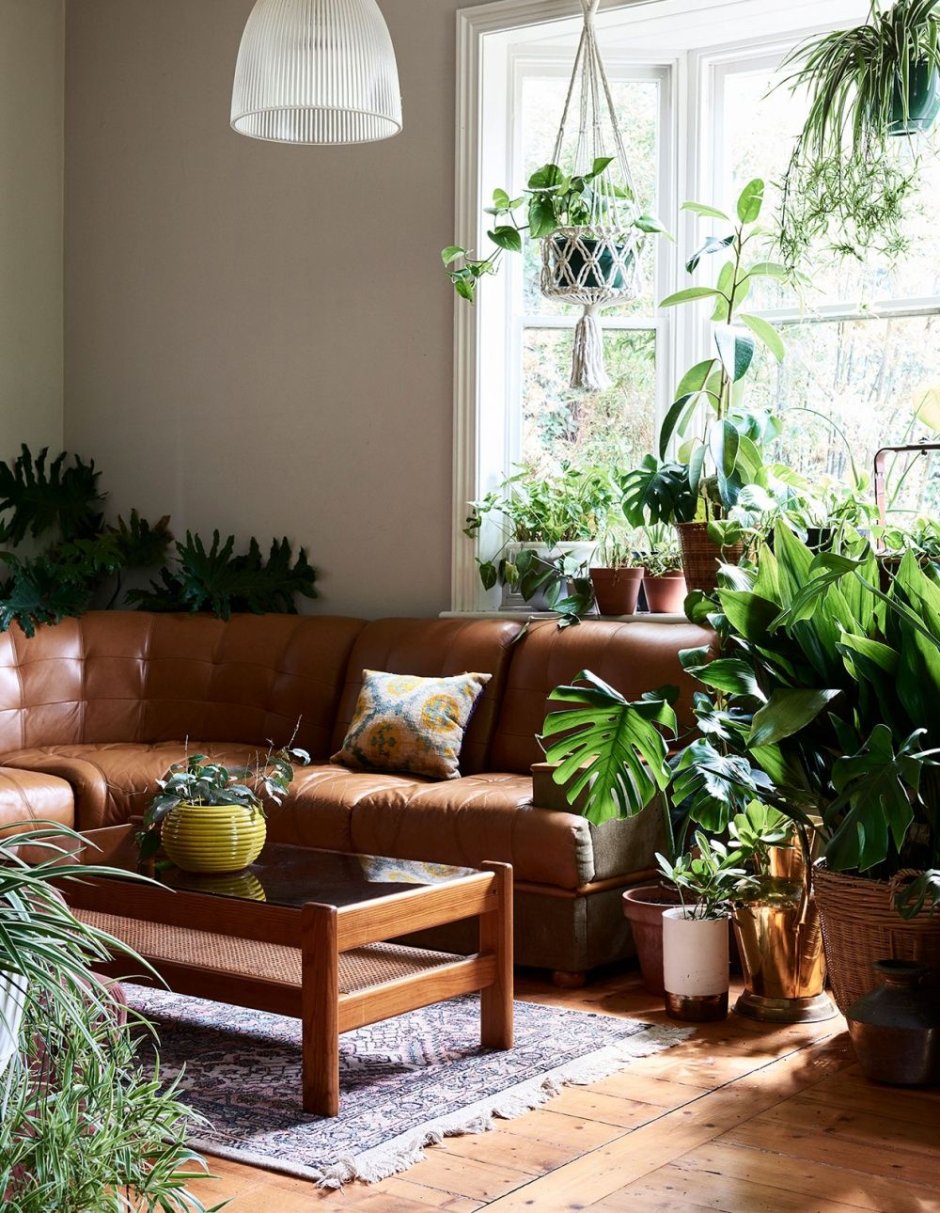 Living room with plants