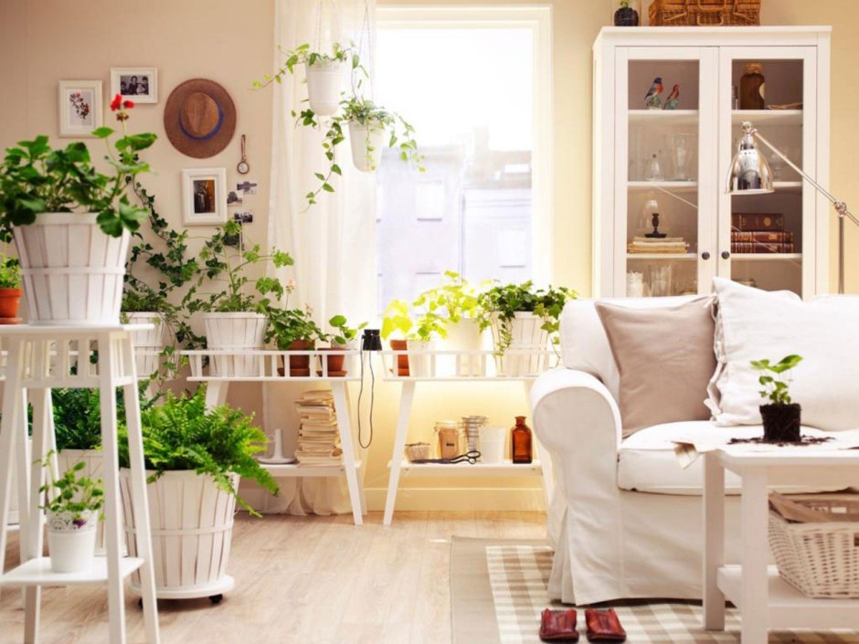 White room with plants