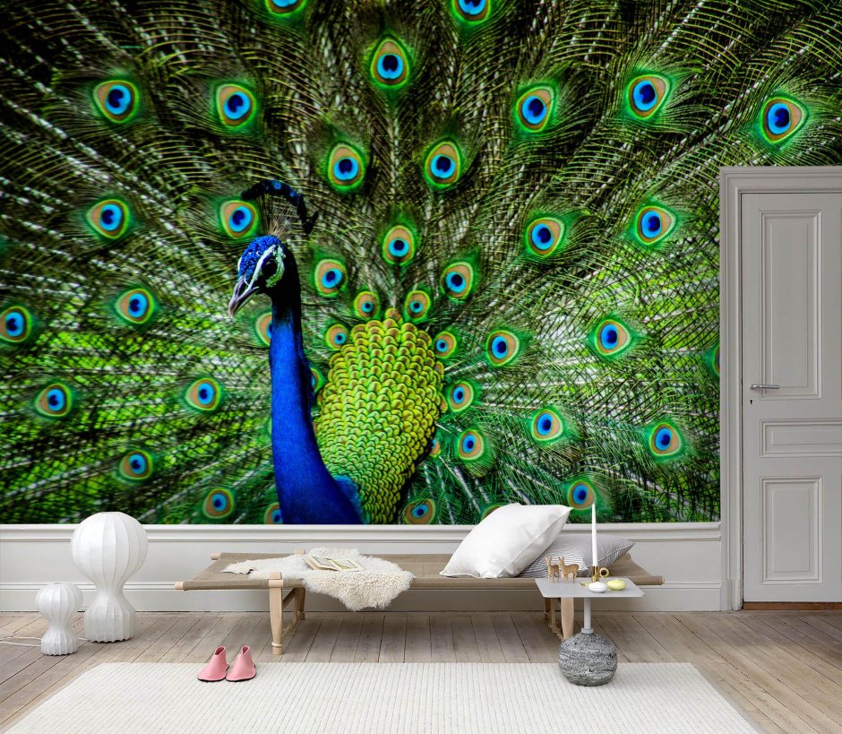 Decor on the wall peacock