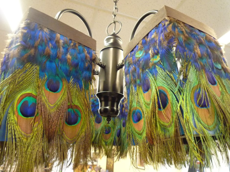 Peacocks for interior paintings