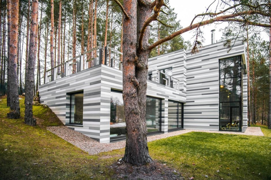 Designer house in the forest
