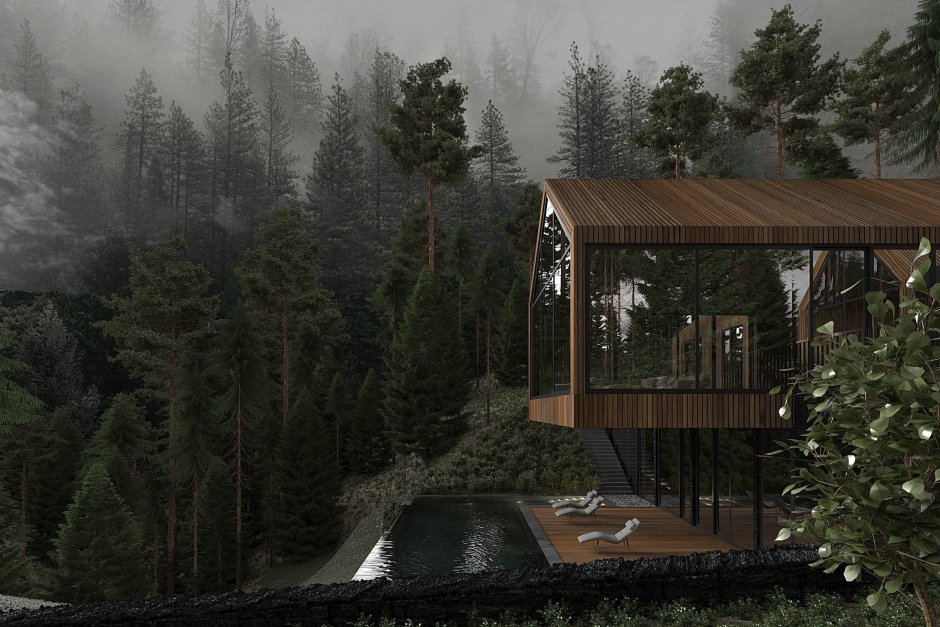 Bezmirno Architects House in the forest 195M2