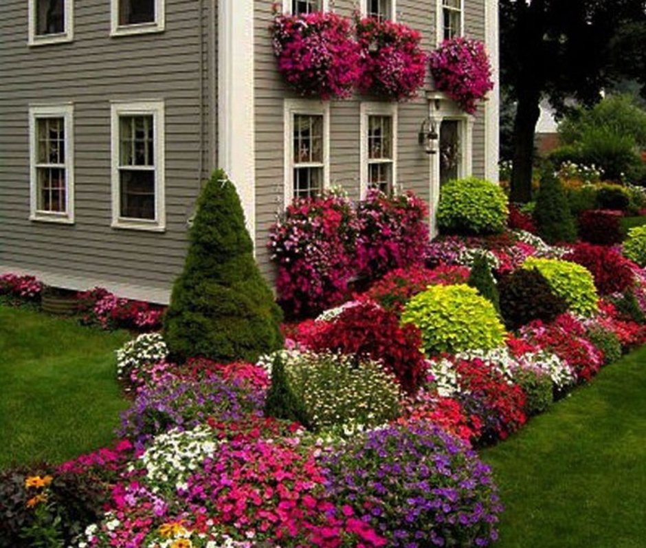 Flower beds in front gardens and gardens