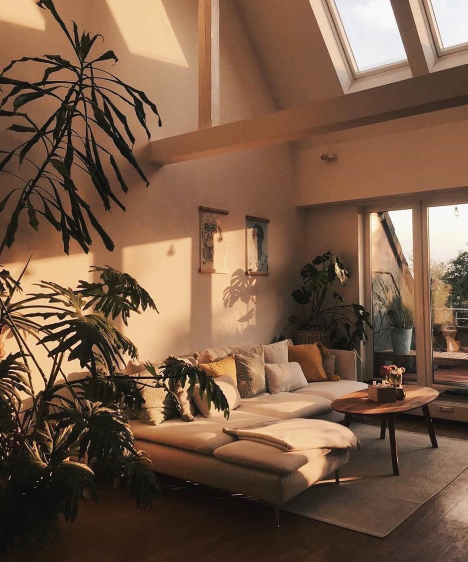 Cozy living room aesthetics