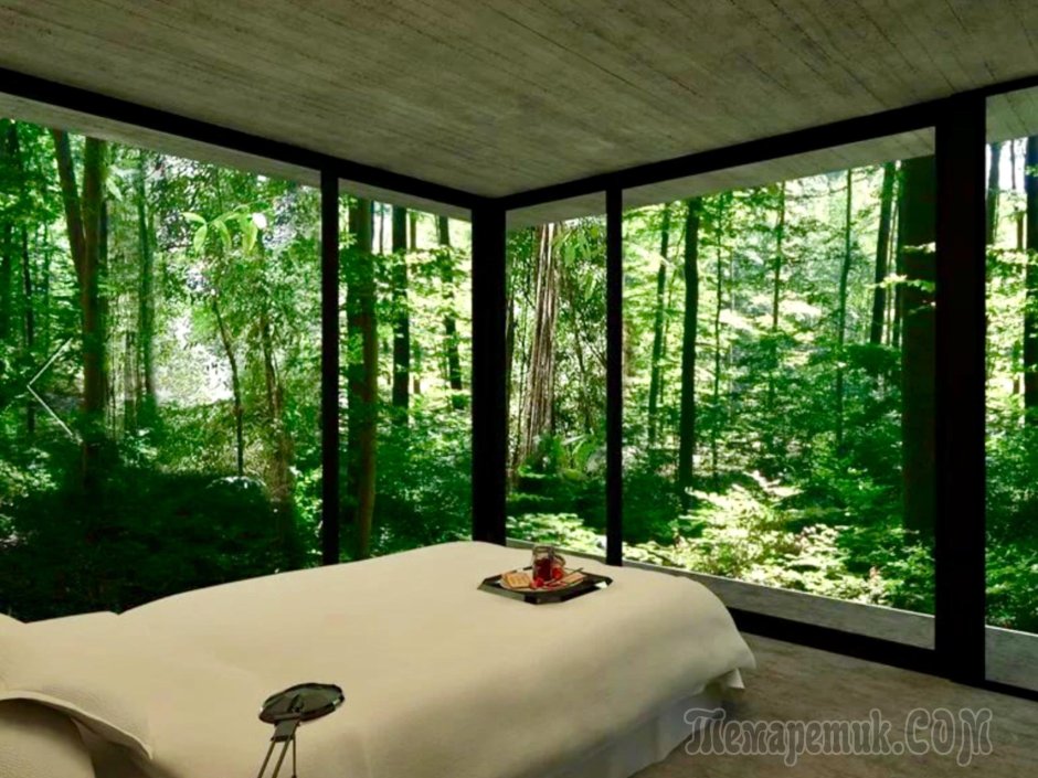 House in the forest with panoramic windows