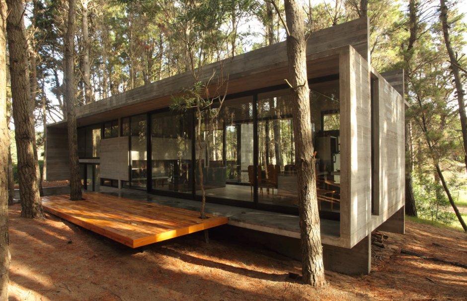 Glass House in the Forest