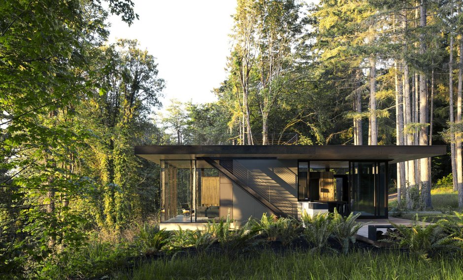 House in the forest of Brazil