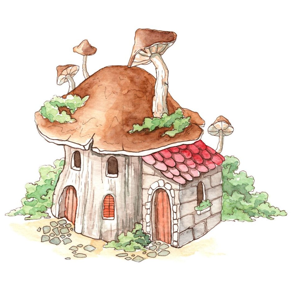 Unusual house mushroom