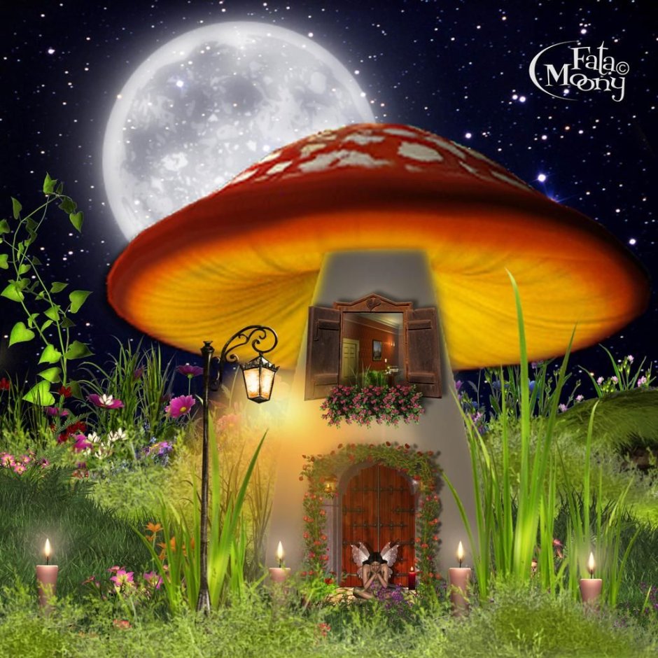 House in the mushroom fantasy