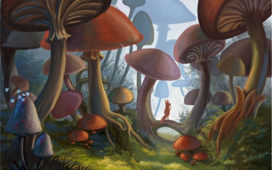 Mashrums mushrooms