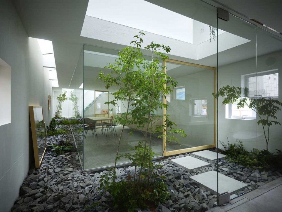Plants behind glass in the interior