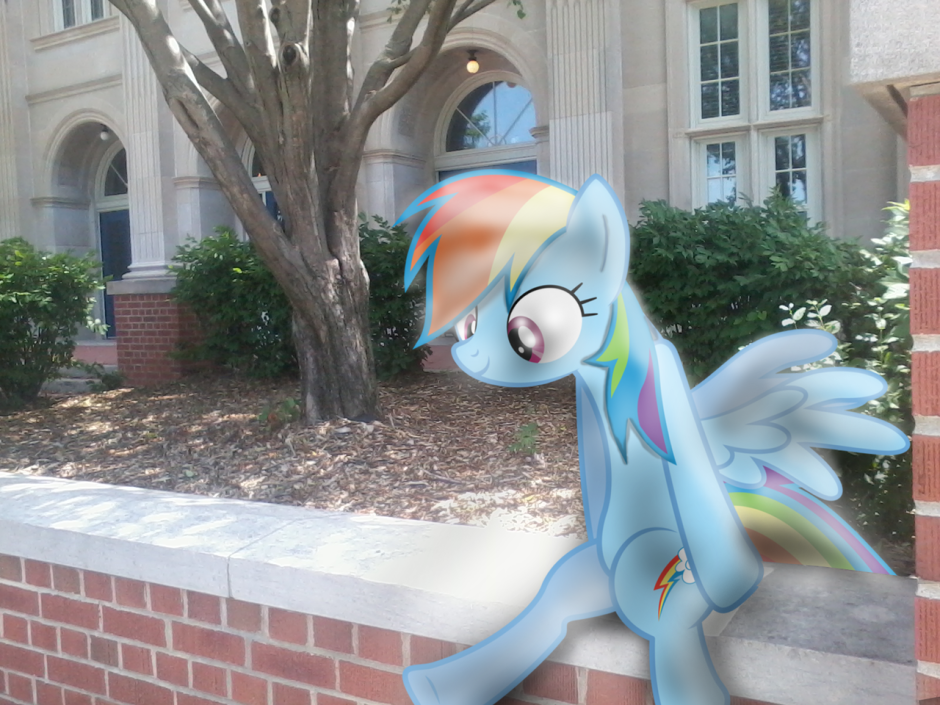 Rainbow Dash in real life