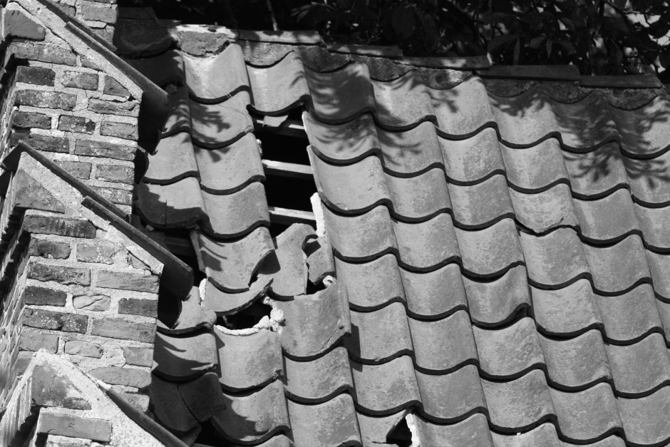 Roofs of Old Houses