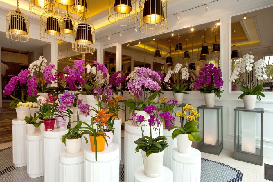 Flower store design