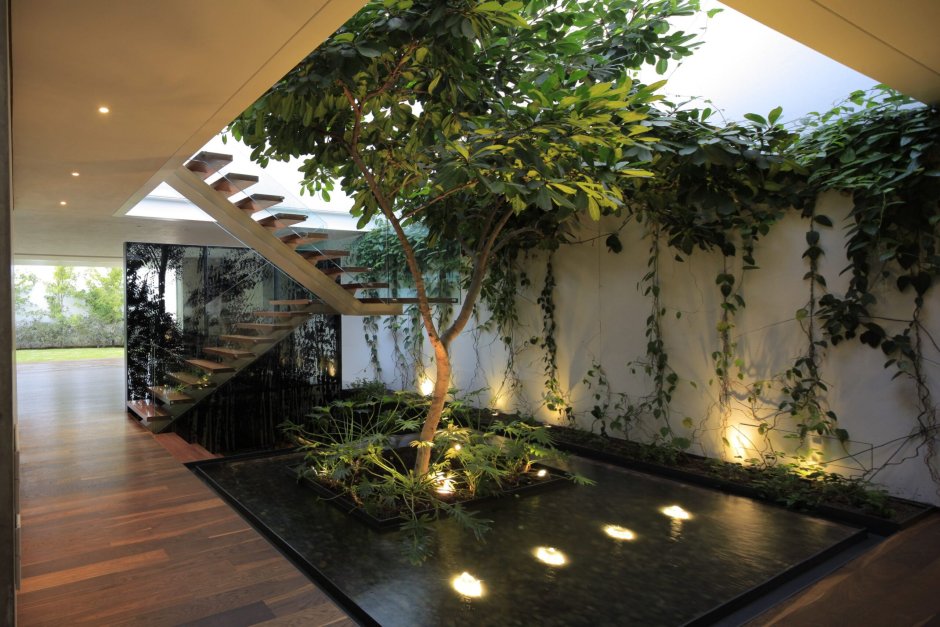 Indoor garden design