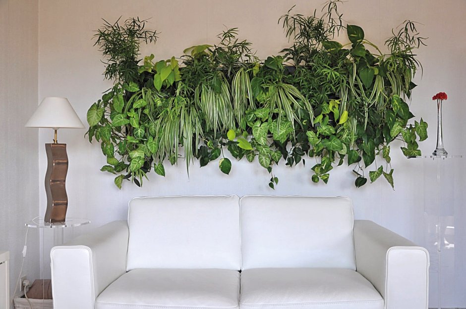 Plant wall indoor