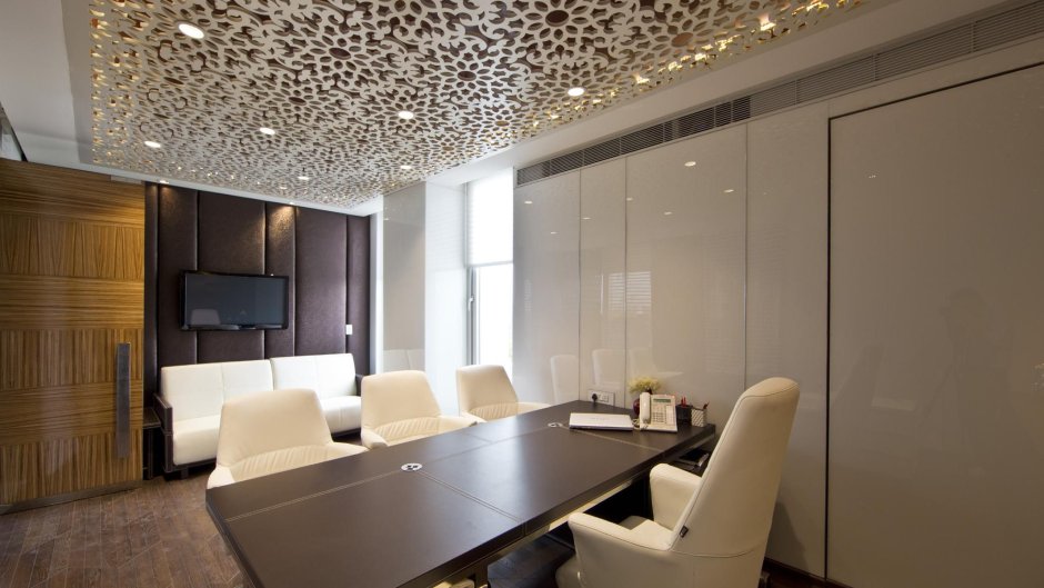 Modern ceiling office