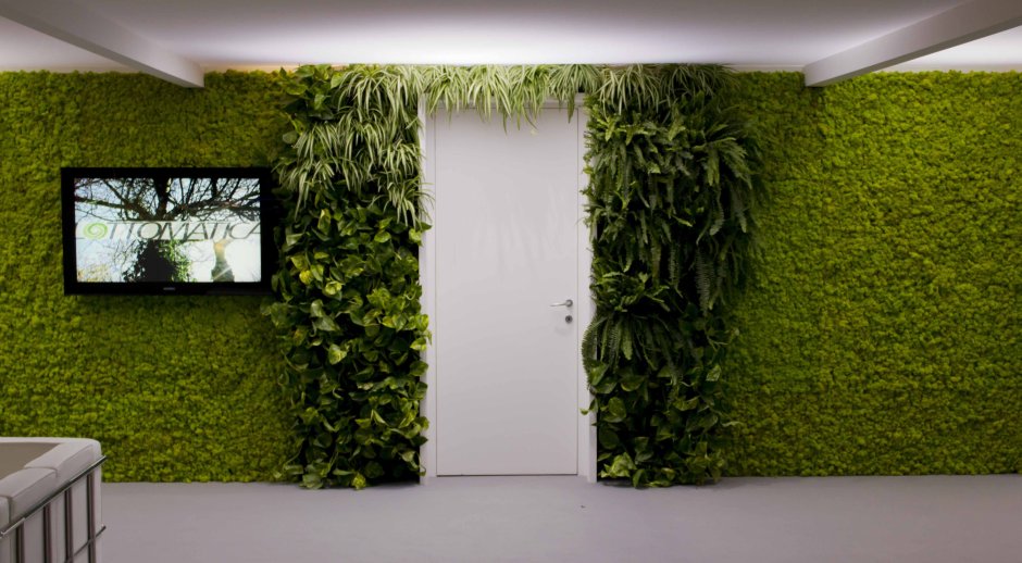 Green moss wall