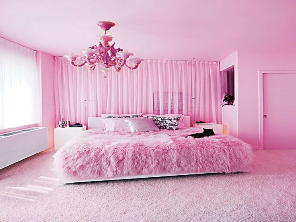 Interior white pink