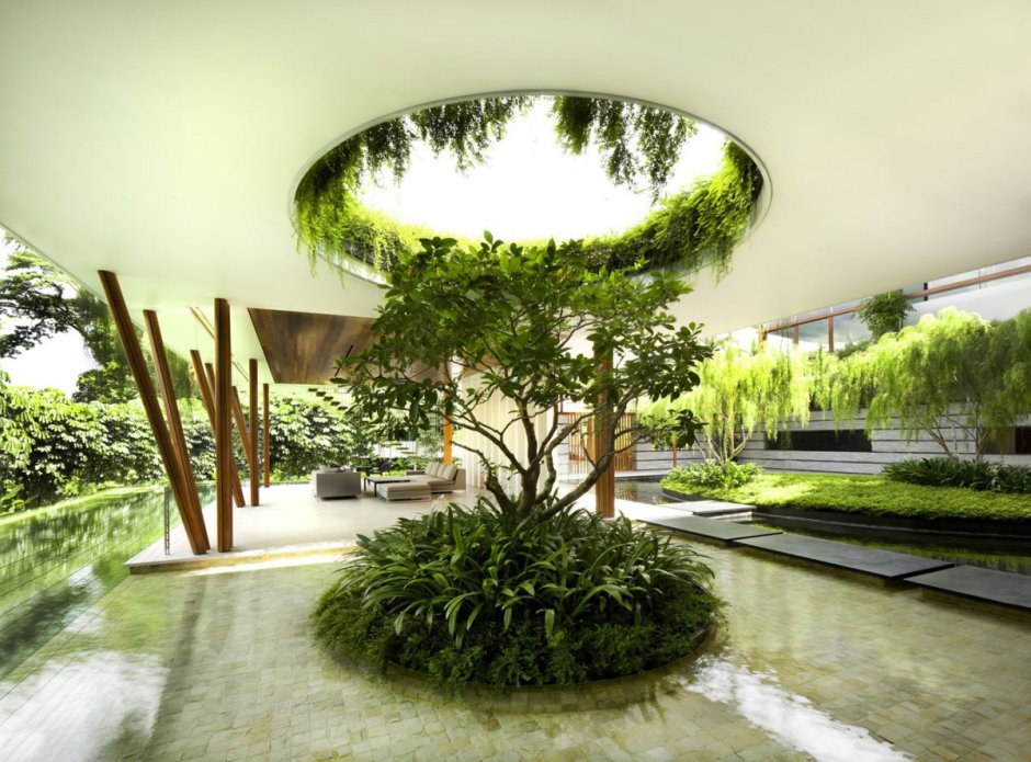 House interior plants