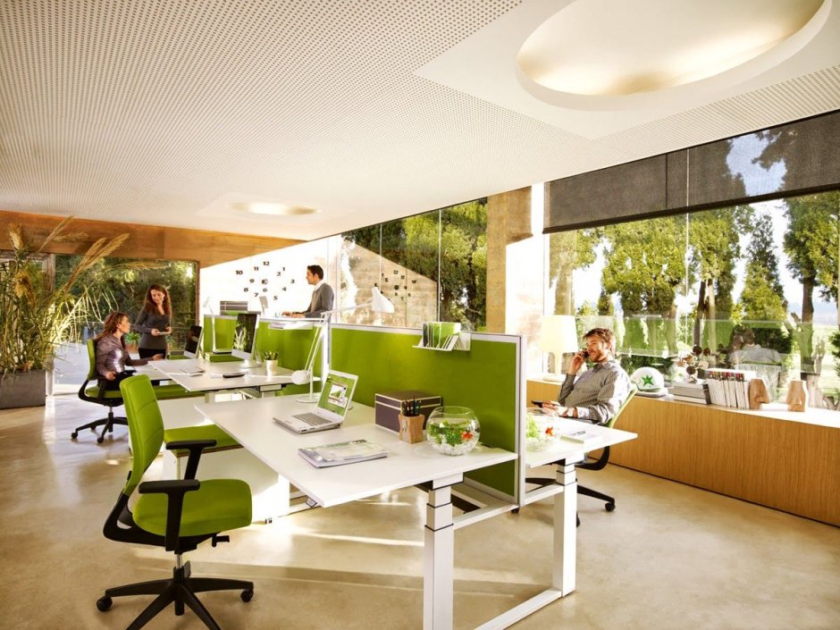 Office green space
