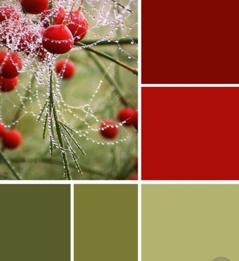 Red and green palette