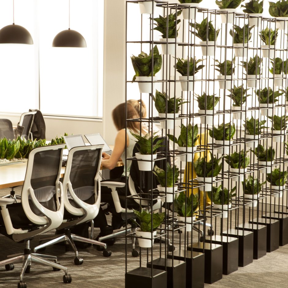 Office design plants